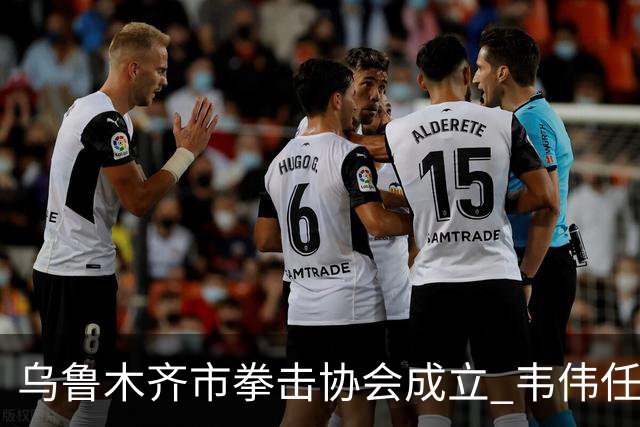 乌鲁木齐市拳击协会成立 韦伟任会长